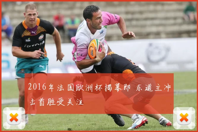 2016年法国欧洲杯揭幕即 东道主冲击首胜受关注