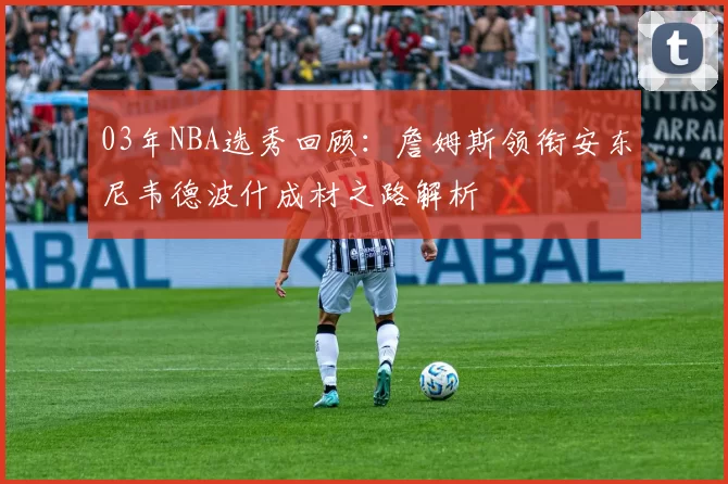 03年NBA选秀回顾:詹姆斯领衔安东尼韦德波什成材之路解析