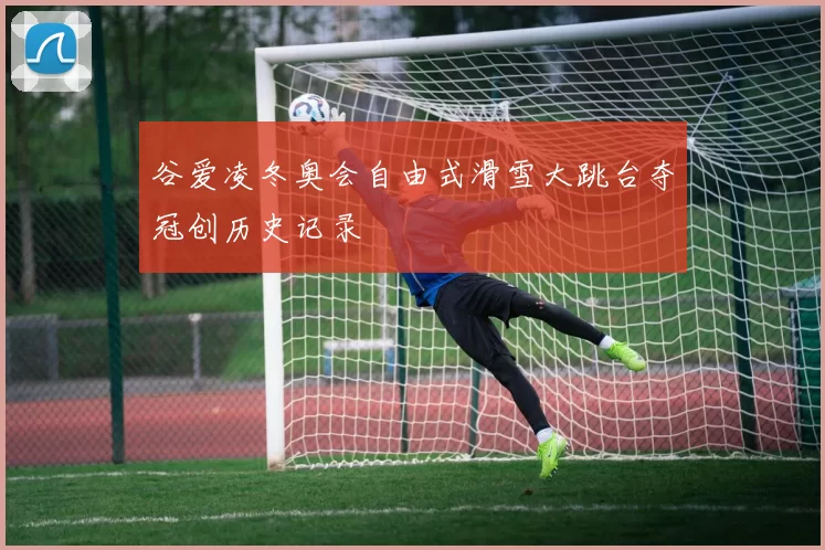 谷爱凌冬奥会自由式滑雪大跳台夺冠创历史记录