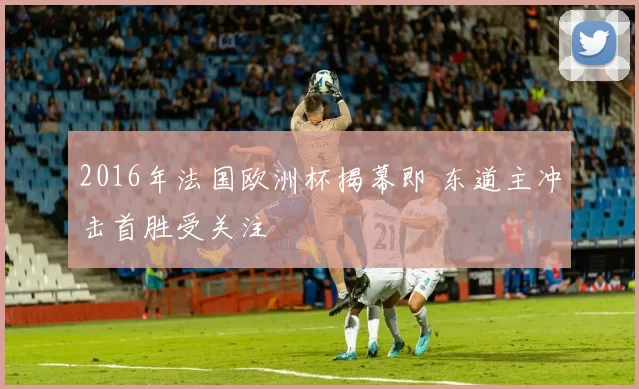 2016年法国欧洲杯揭幕即 东道主冲击首胜受关注