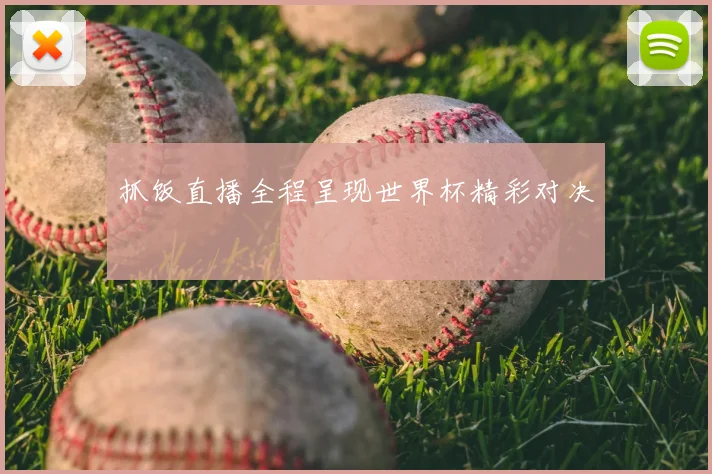 抓饭直播全程呈现世界杯精彩对决