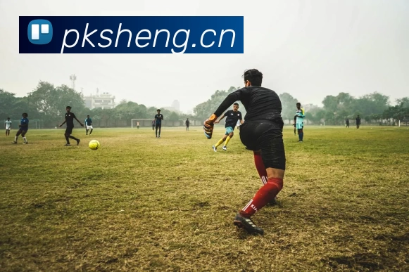 kaiyun「中国大陆」云开·门户网站 - 官方网站|登录入口发展历程